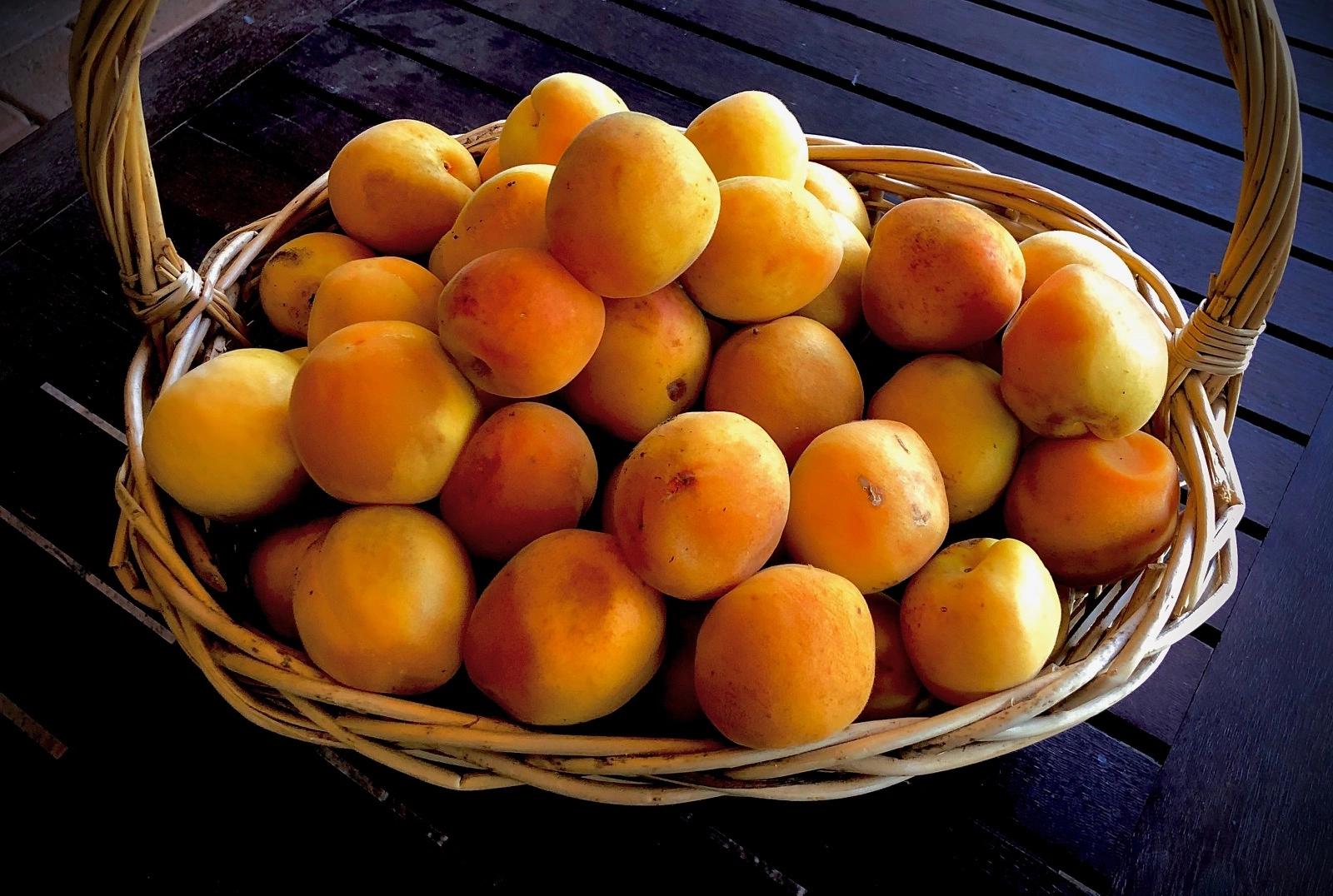 Apricots.jpg
