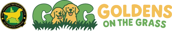 Goldens on the Grass