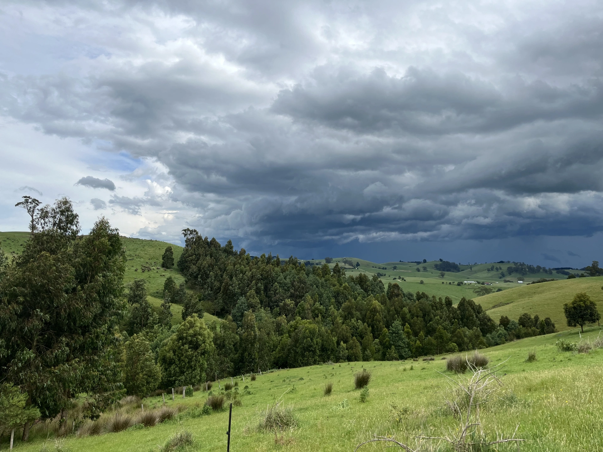 Planting site now.jpg