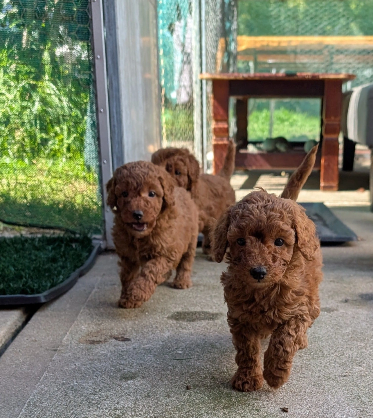 1. 6 eeeks - 2026-03-31 at 5.09.37 PM - Trimmed.jpeg