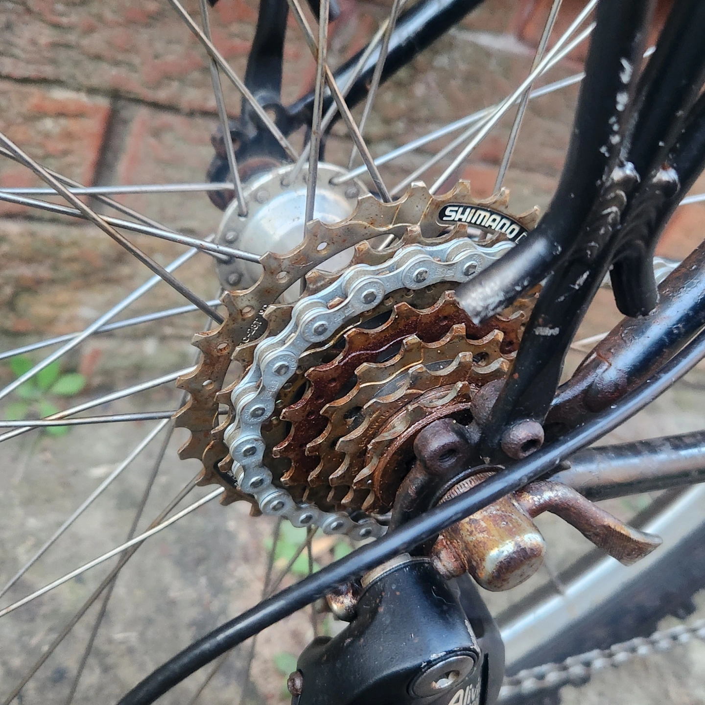 Chain swaps-Mobile Bicycle repair on the central coast..webp