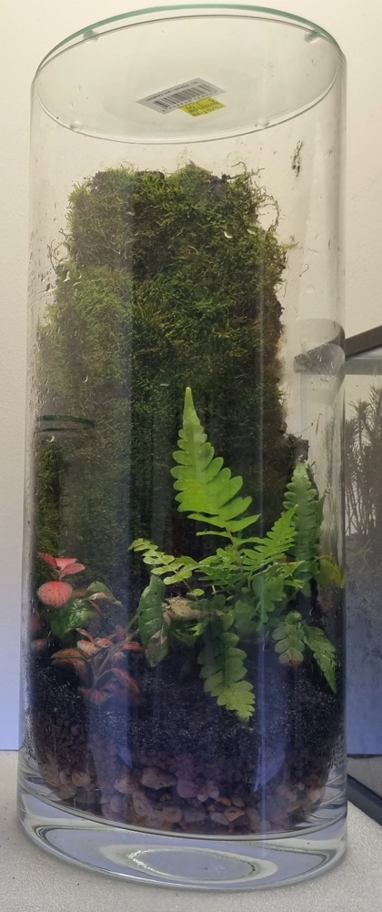 XL Terrarium.png