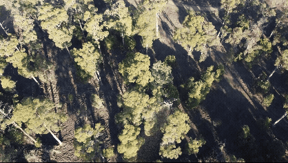 Adobe Express - Untitled.gif