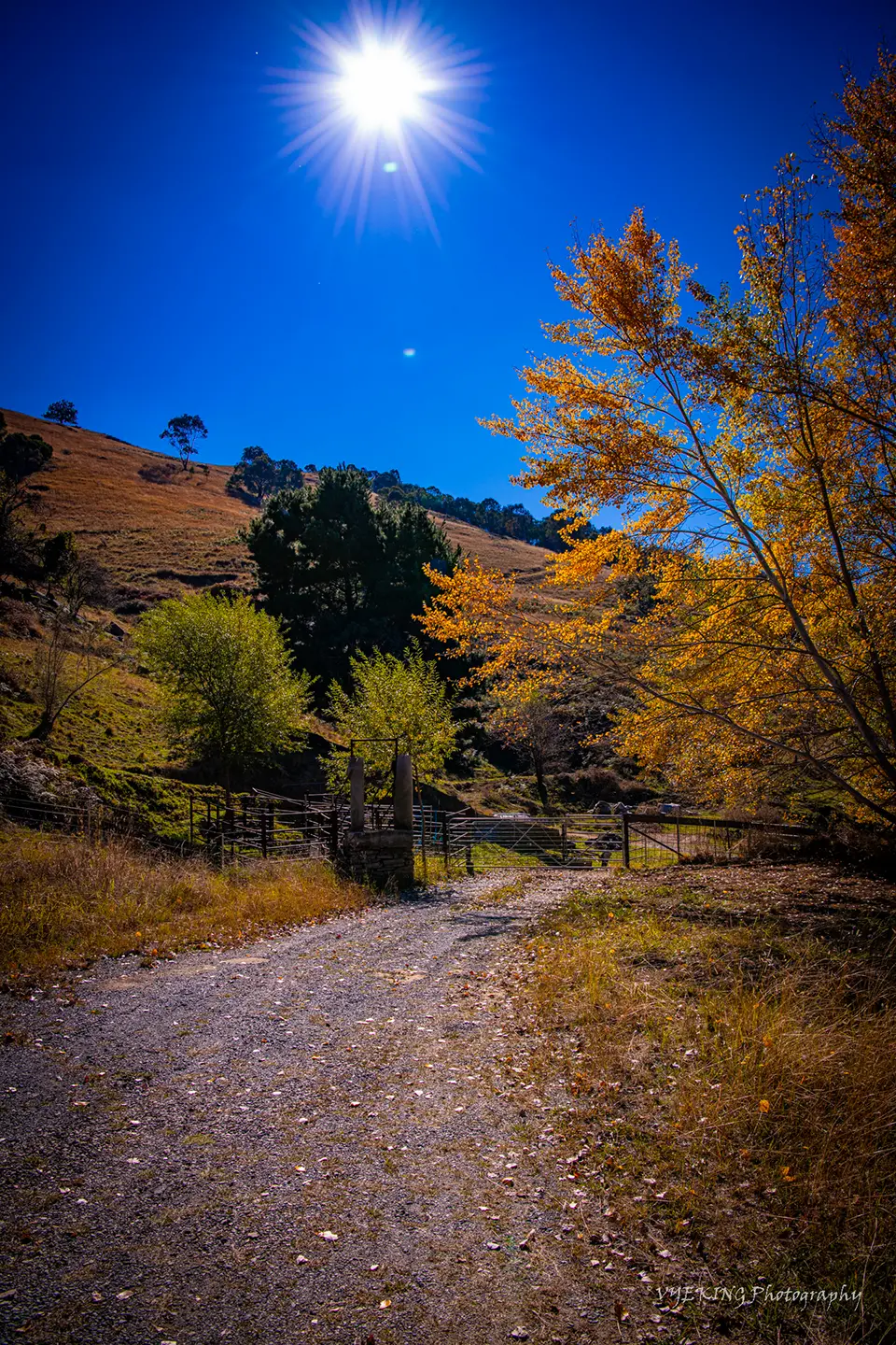 Tumut.png
