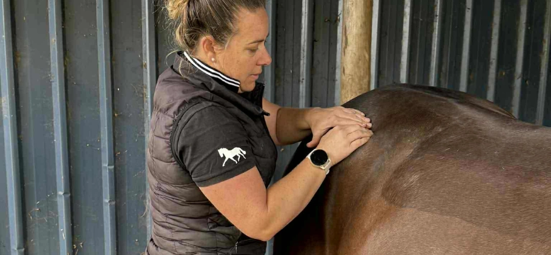 Renae doing an equine muscle release treatment.png