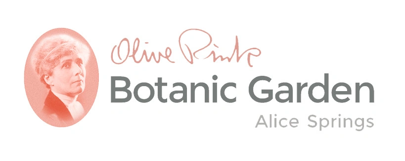 olive_pink_logo.jpg