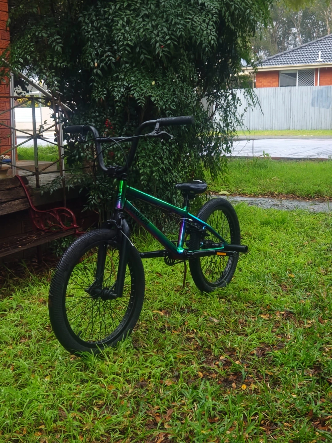 Bike Flip.jpeg