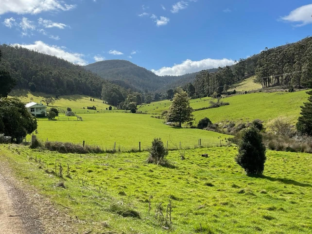 Huon Valley.jpg