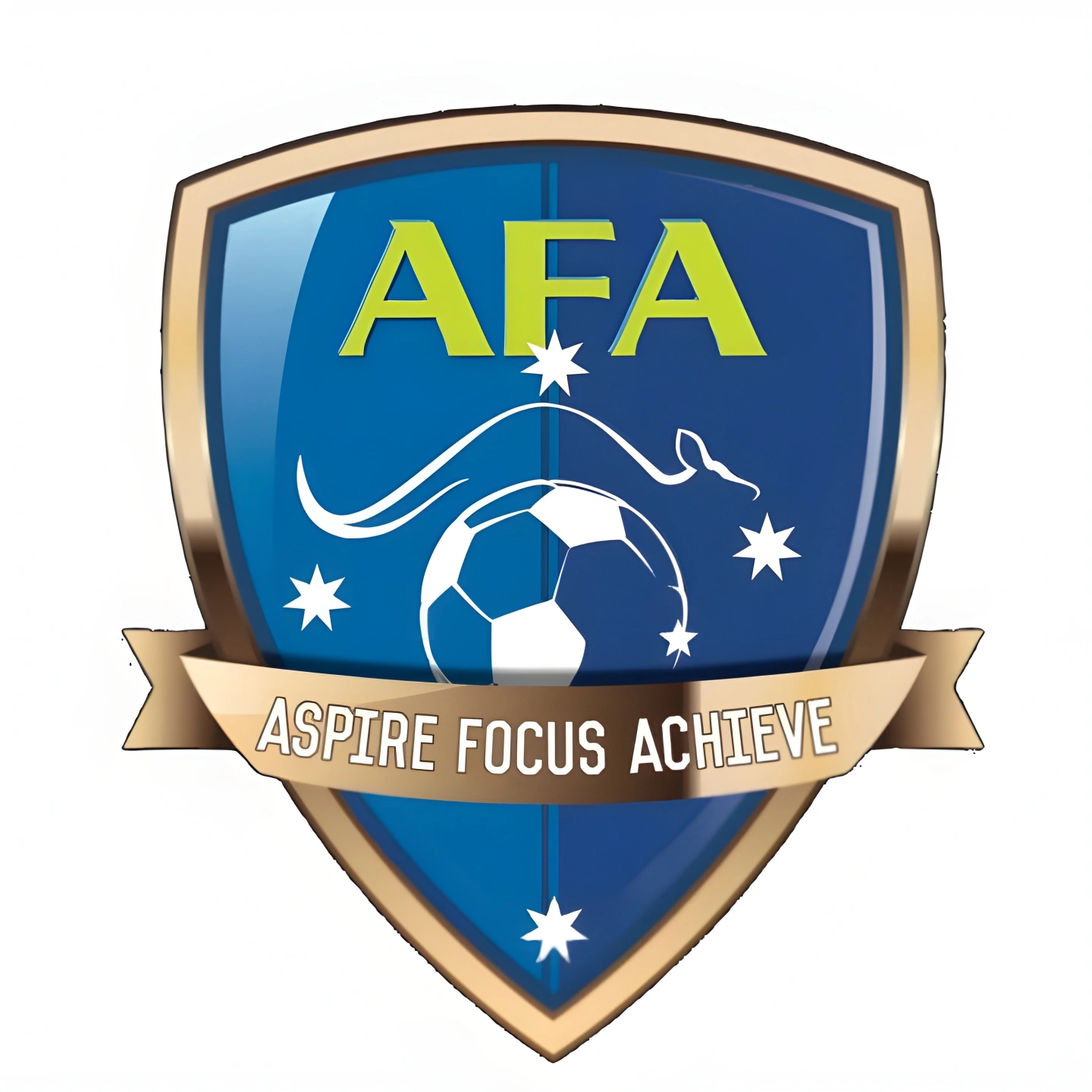 AFA Logo.JPG