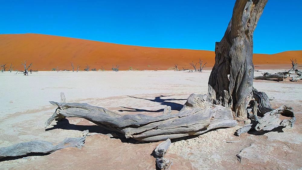 namibiaa (45).jpg