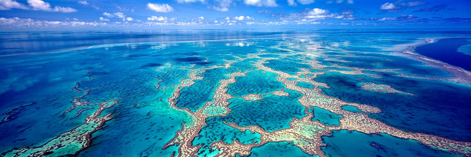 reef-dreaming.jpg