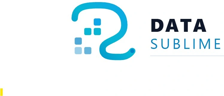 ds logo.jpg