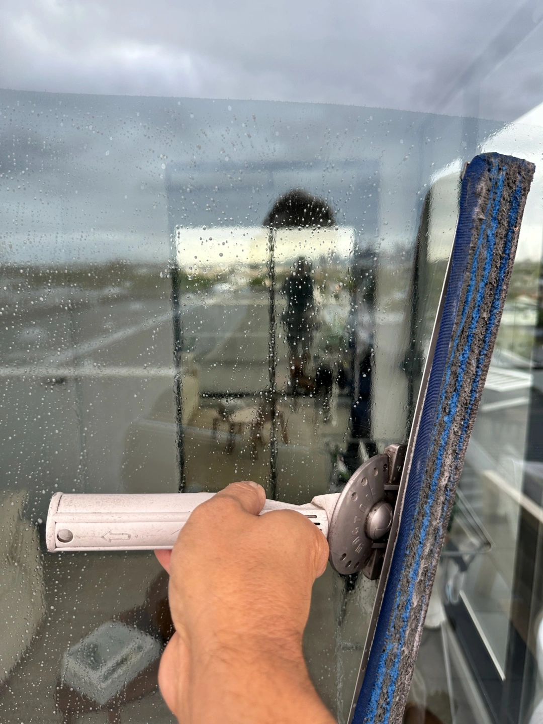 clean apartment window.jpg