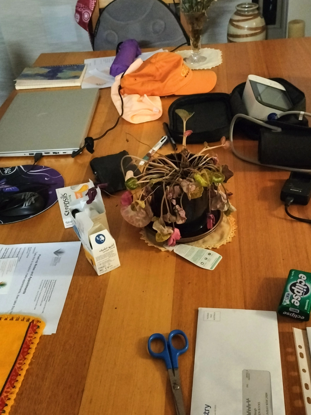 IMG20250923213935.jpg