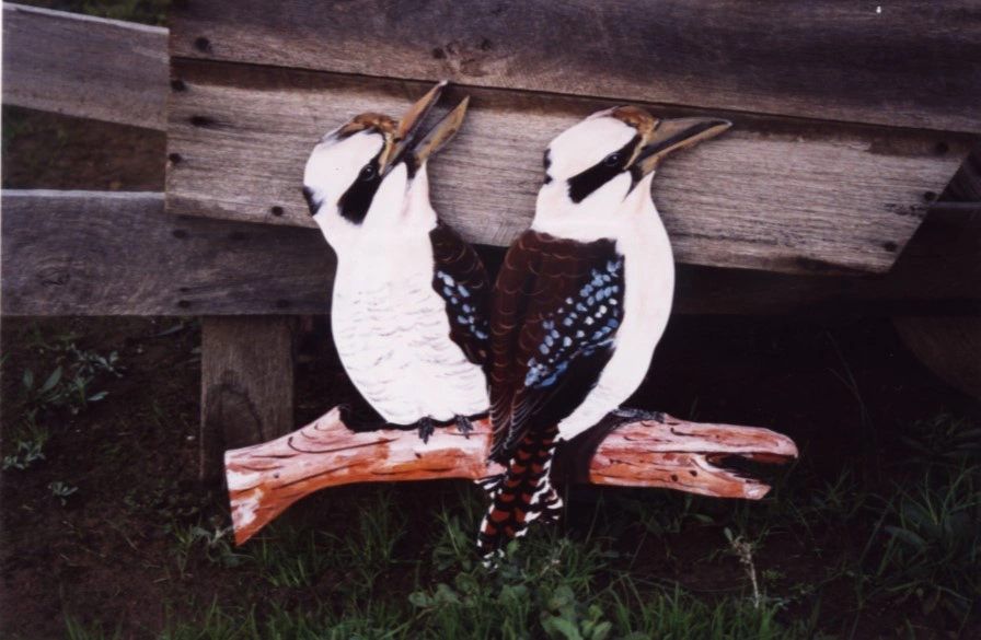 Kookaburras (2).jpeg
