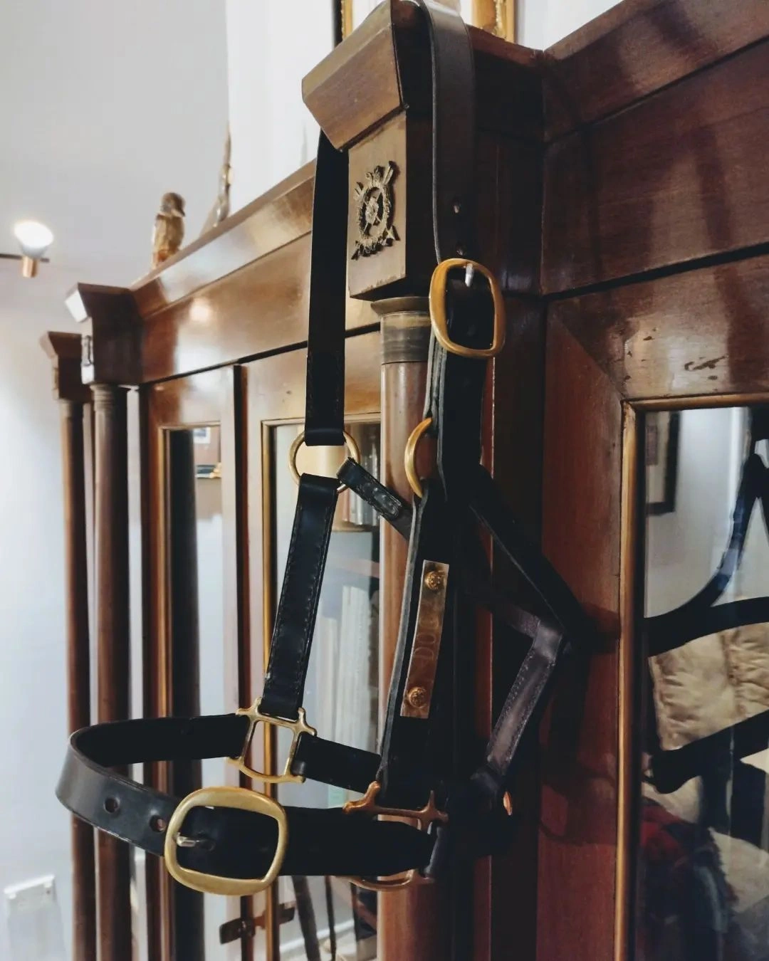 CUSTOM-LEATHER-HALTER-AUSTRALIA.jpg