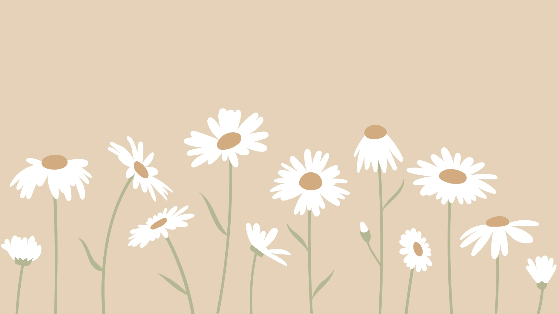 Bellwood Lane Blooms - Website Banners (9).png