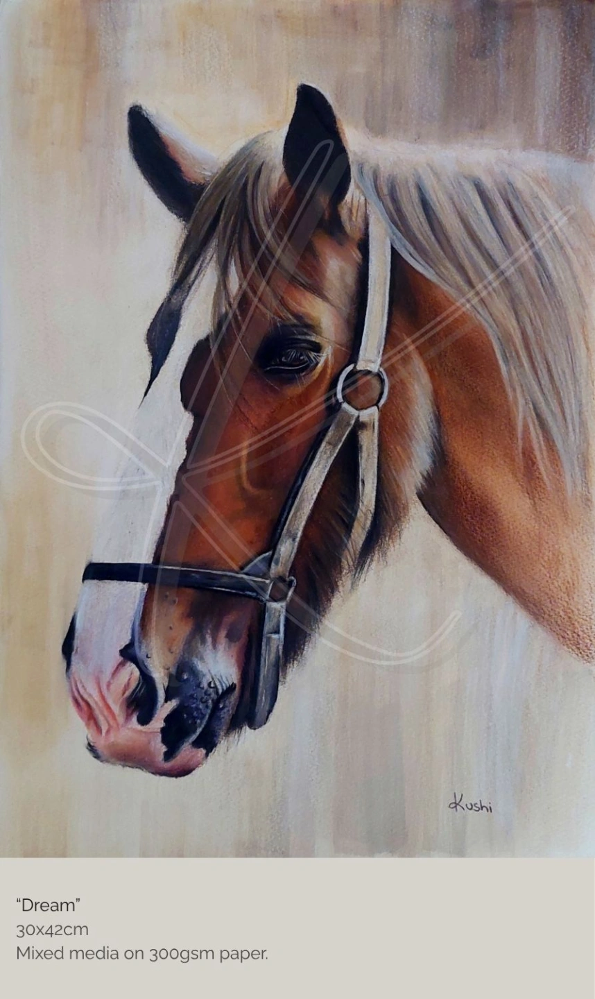 “Pots” 30x42cm Colour pencil on 160gsm paper. Inspired by a photograph by Denise McQuillan-3.jpg
