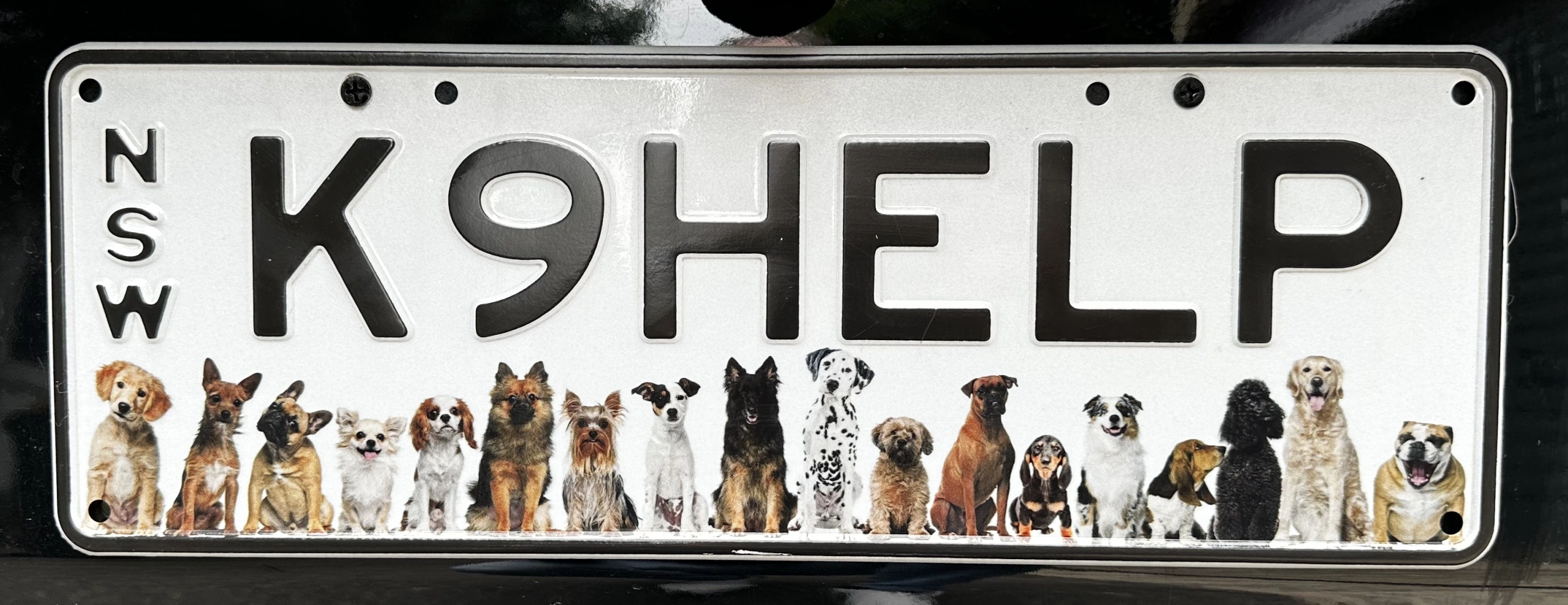 K9HELP Rego.jpg