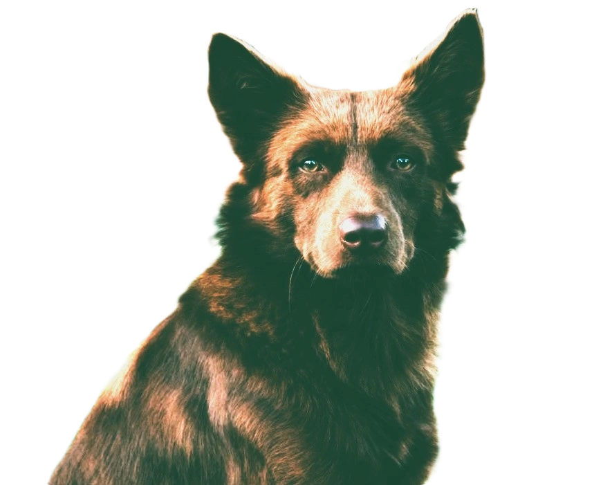 474974465_122094106904759422_6706350082021737280_n777.png