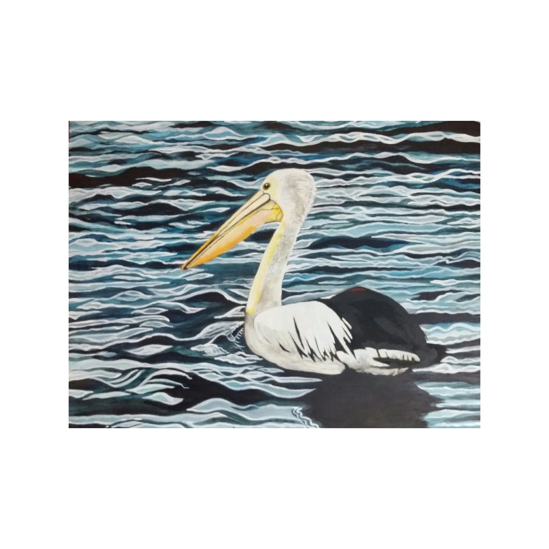 pelican on water sh.jpg