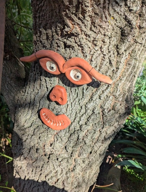 Tree Face 2.jpg