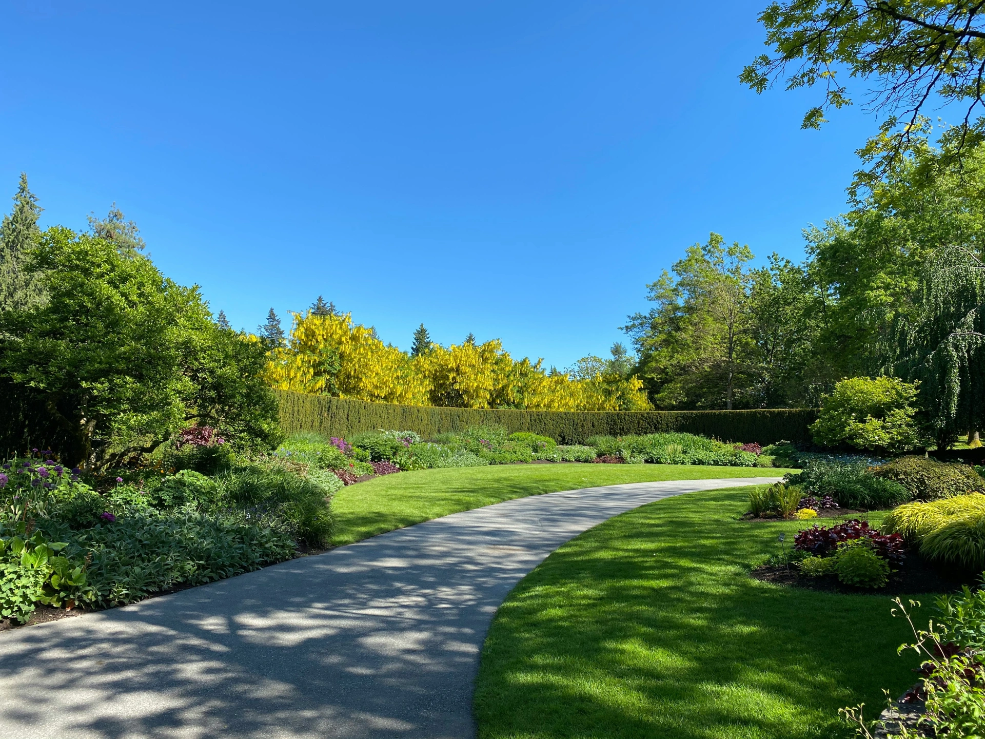 lawn background.jpg