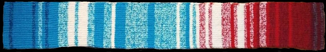 Accurate horiz scarf on black.jpg