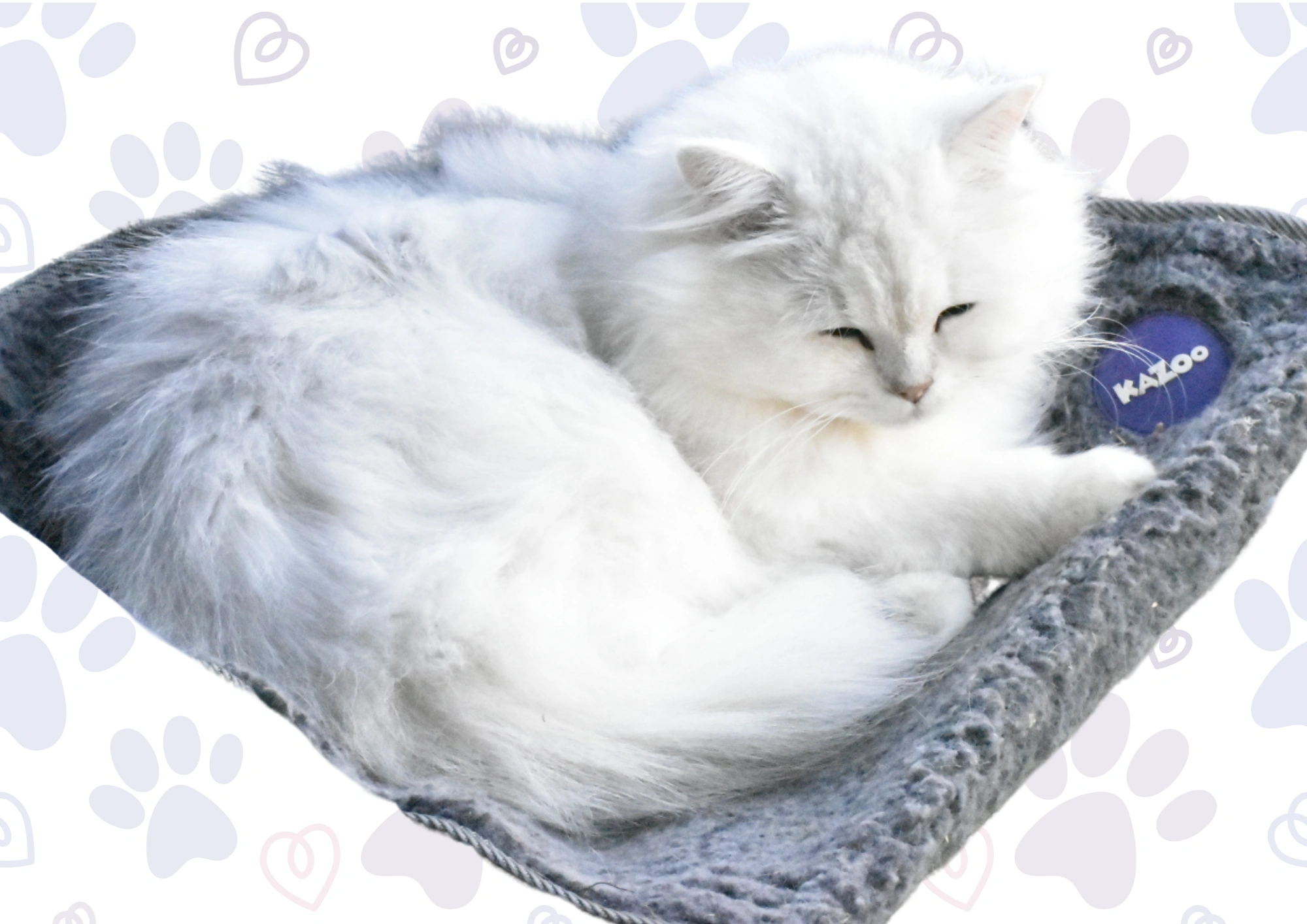 Untitled (29.7 x 21 cm) (16).png