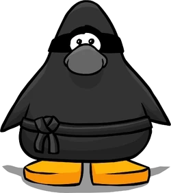 Ninja_bg.webp
