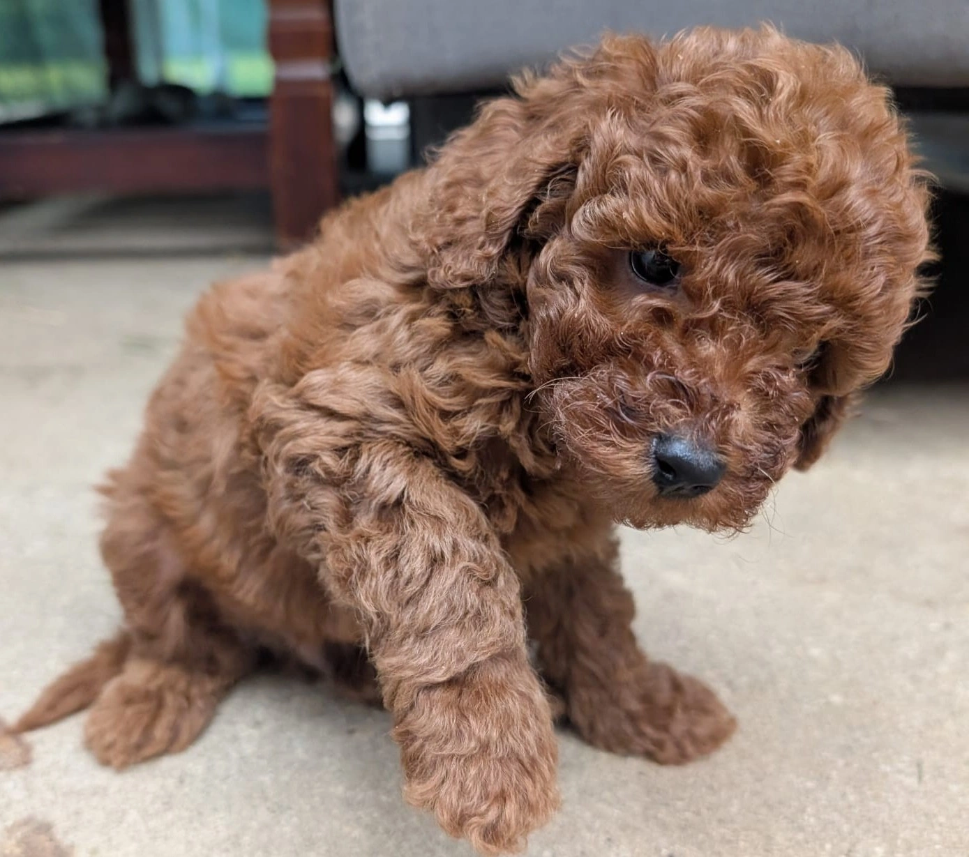 6 weeks 2026-04-01 - 9.jpeg