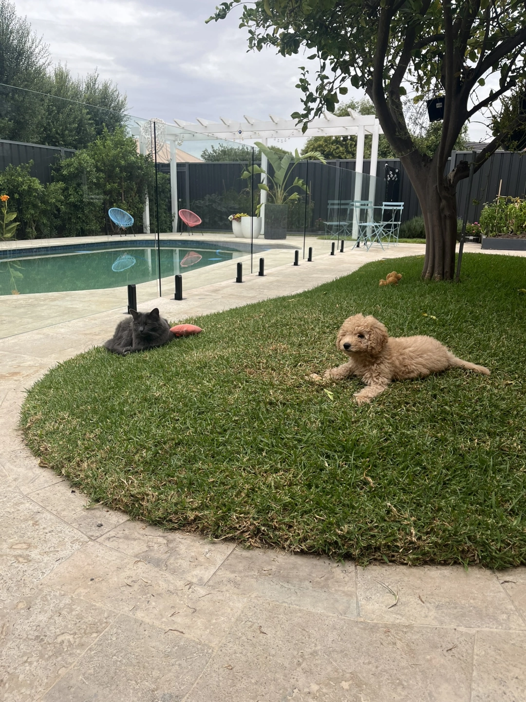 IMG_3644.JPEG