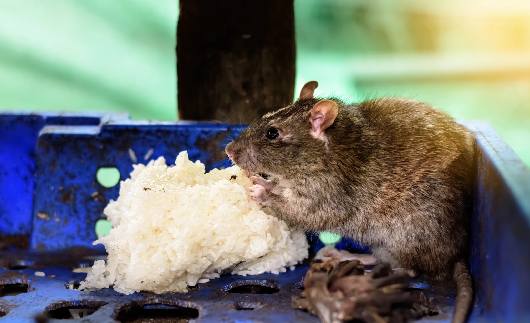 Screenshot 2025-11-29 at 4.04.58 PM.png