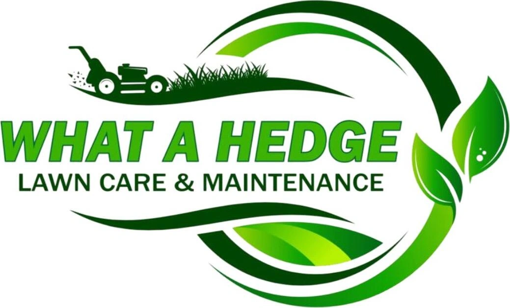 What a Hedge