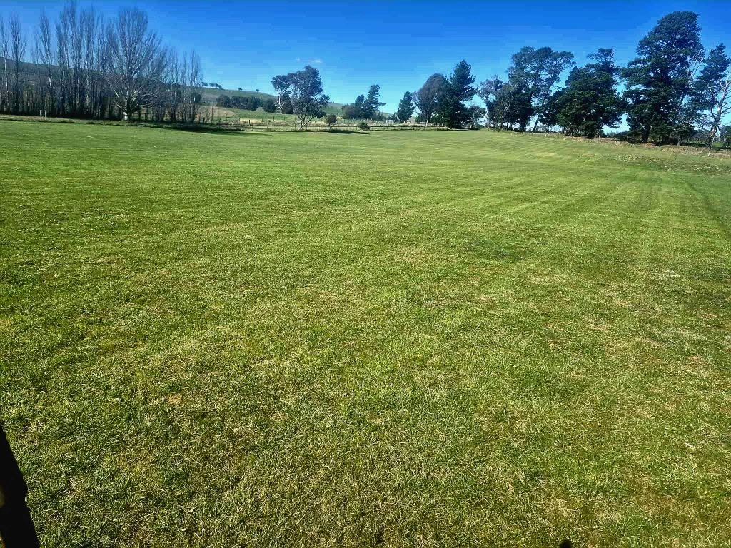 lawn 1.jpg