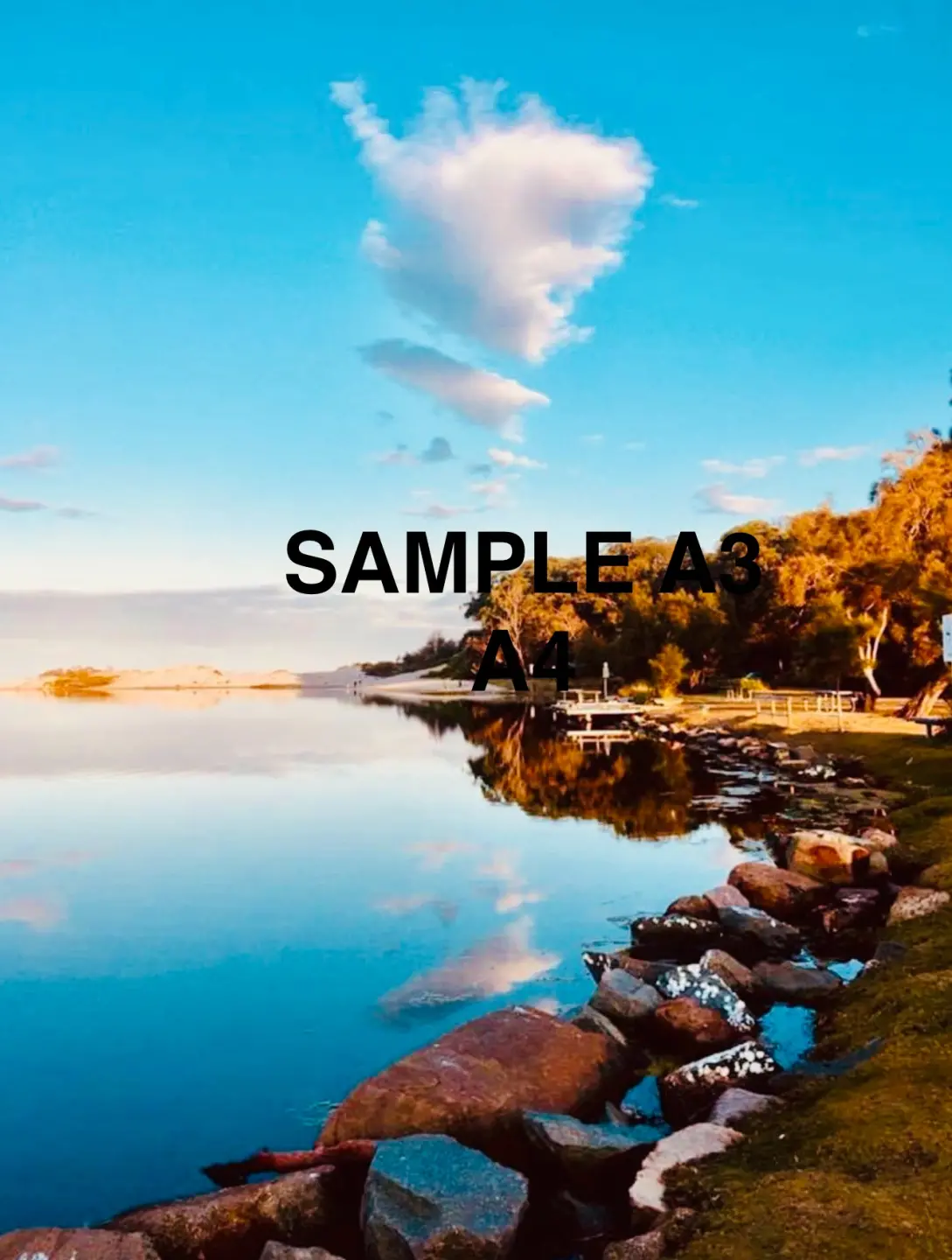 VIPSites Media