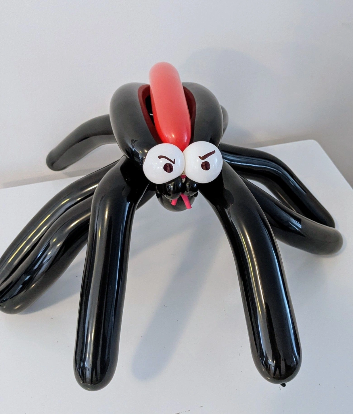 spider.jpg