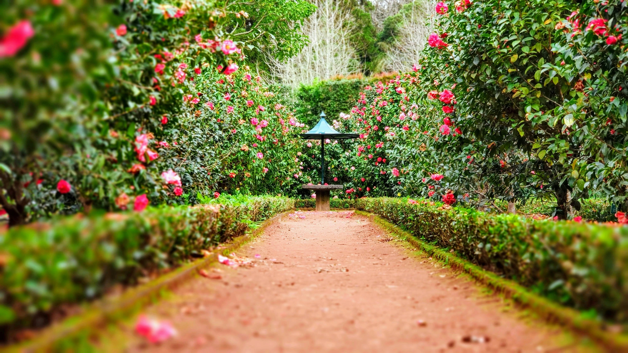 Background image.jpg