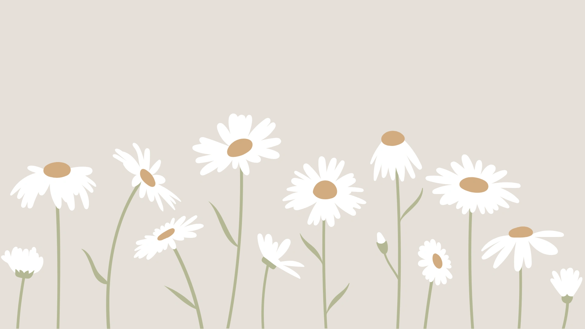 Bellwood Lane Blooms - Website Banners (7).png