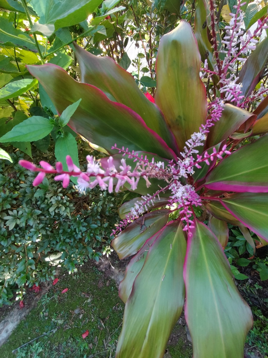 IMG20250520154516.jpg