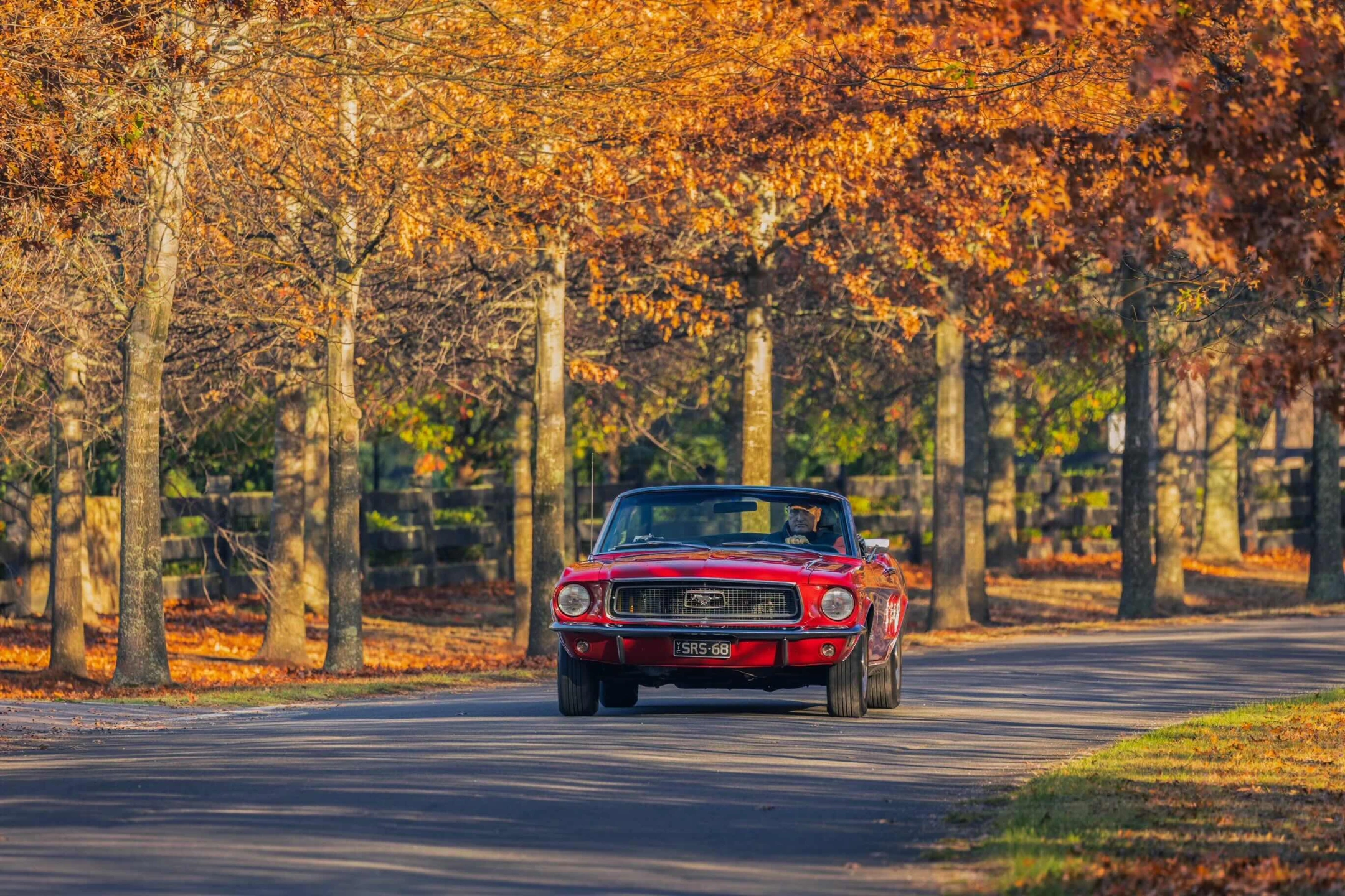 20250501-M27A7131-Edit.jpg copy.jpeg