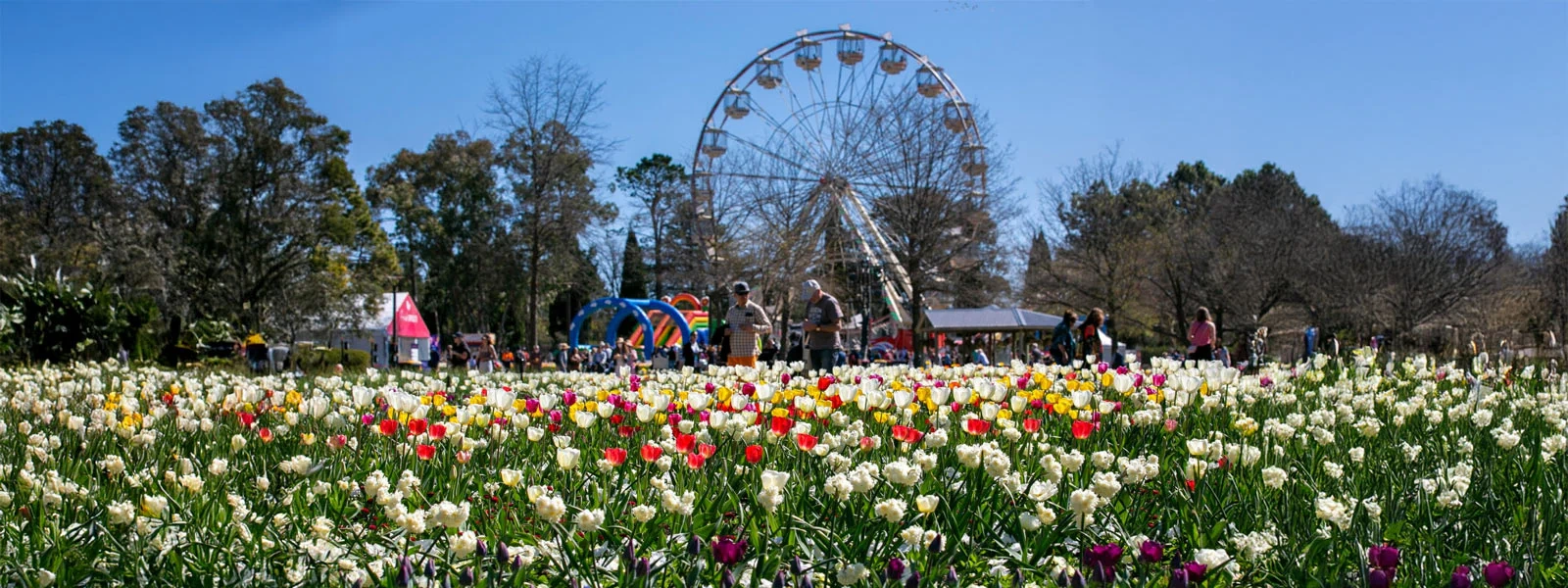 CANBERRA FLORIADE MANIFEST ALLOCATION TIER: $14,850.00