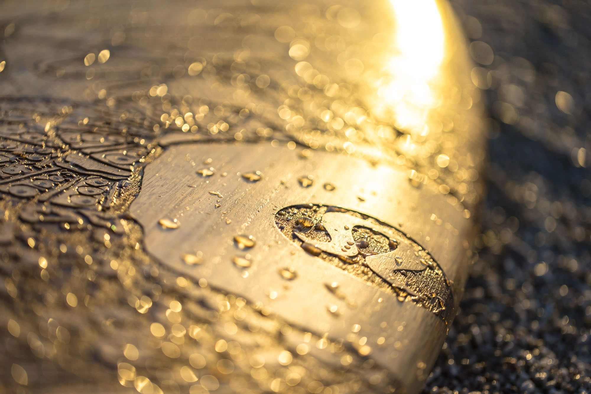 Mason Mashon Photo - EcoKarma - Day 10-7.jpg