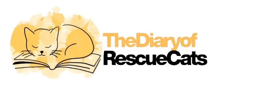 DORC LOGO.jpg
