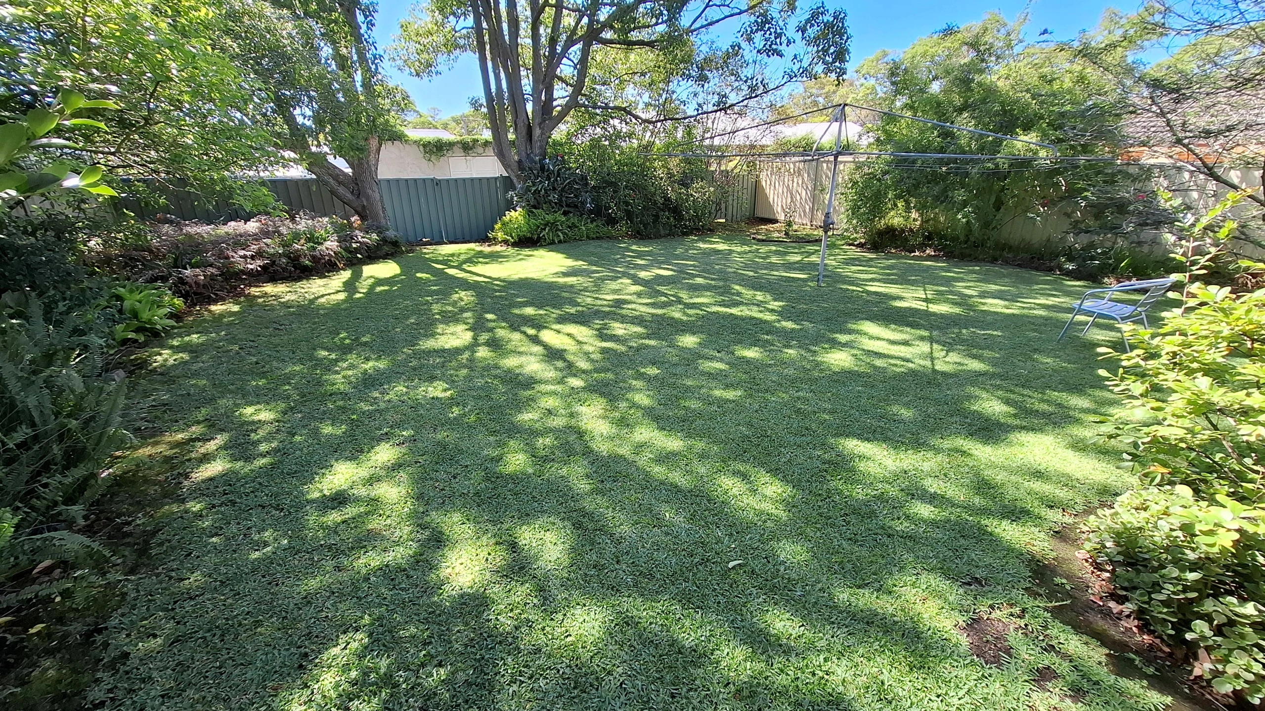 Client C Back Yard After.jpg