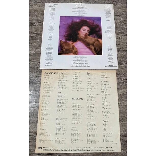 2-Kate-Bush-Hounds-of-Love-internal.png