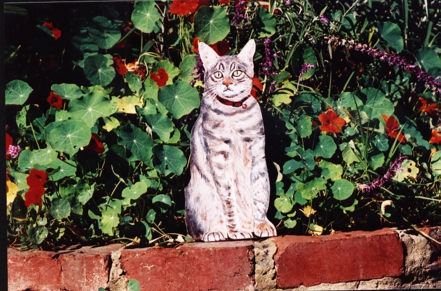 Cat - Grey - $40.00.jpeg
