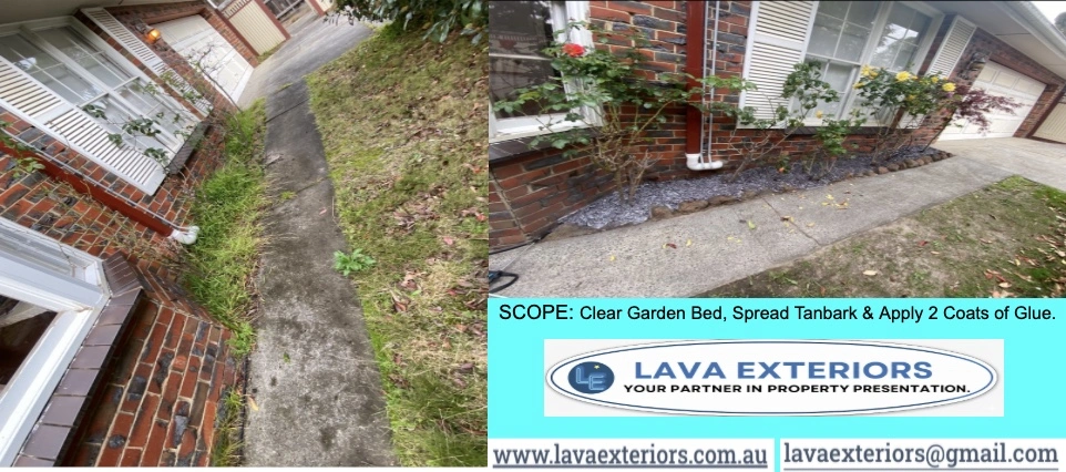 Box Hill South.1.jpg