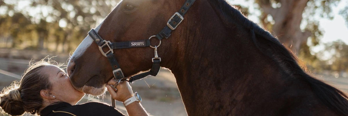 You gotta love horses.png