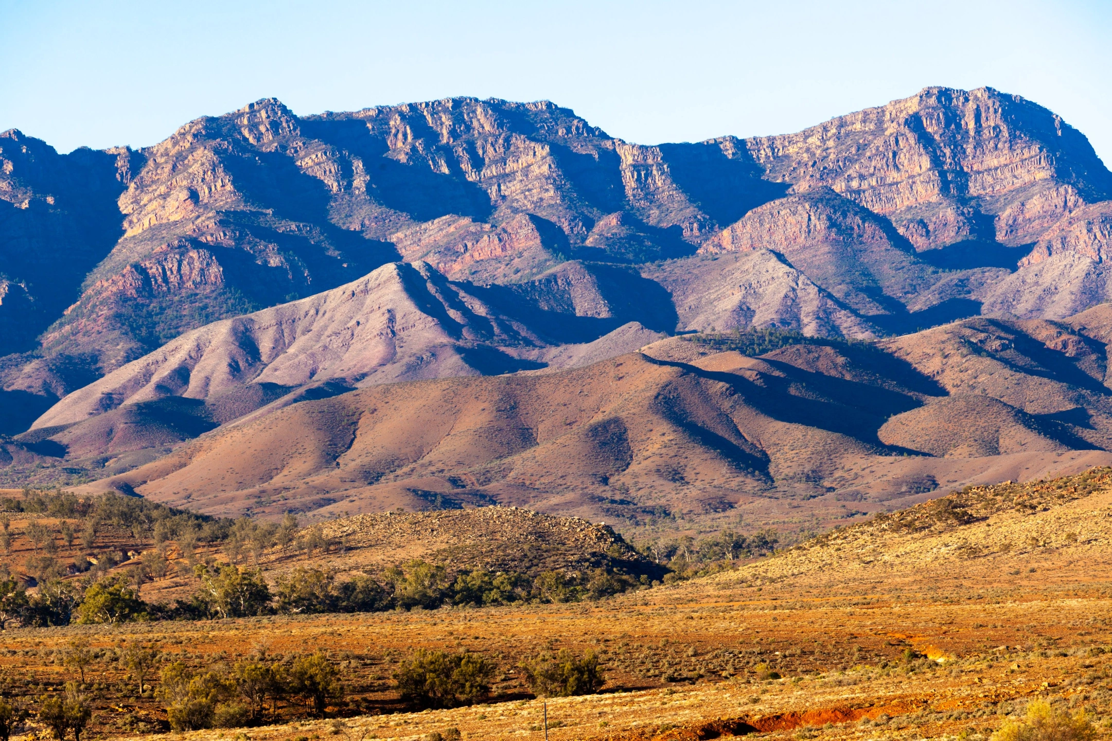 Flinders Ranges 2.jpg